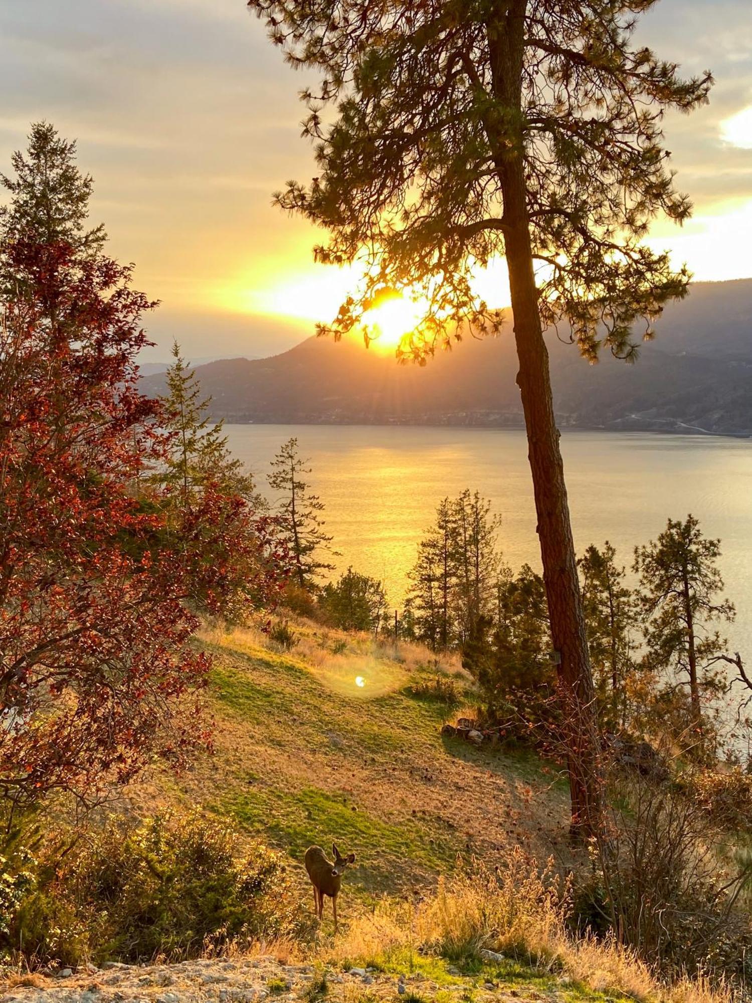 Kelowfornia Lakeview Retreat 킬로나 외부 사진