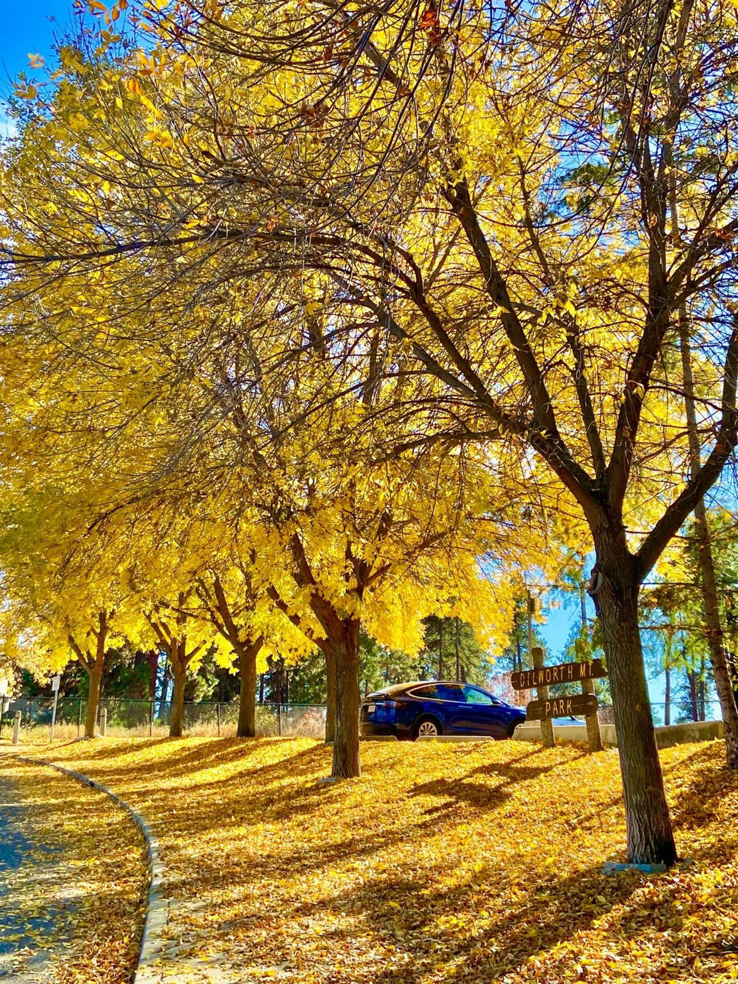 Kelowfornia Lakeview Retreat 킬로나 외부 사진
